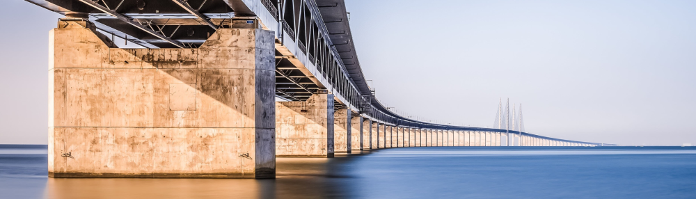 Looking for some fun?